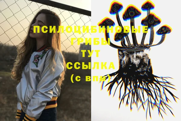 герыч Елабуга
