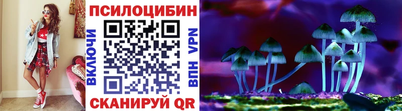 Псилоцибиновые грибы прущие грибы  Купить  Елабуга 